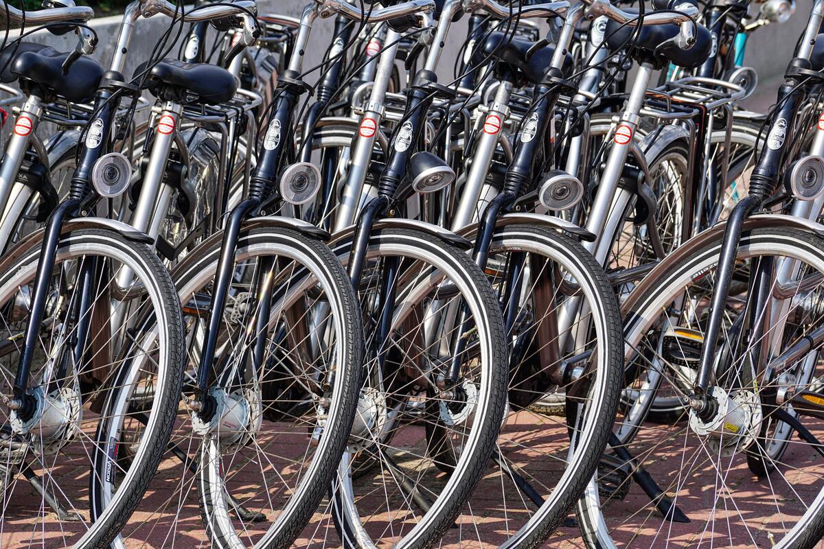 Giornala Mondiale della Bicicletta 2025