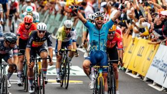 cavendish