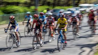 Juniores