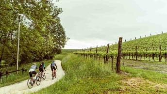 Collio