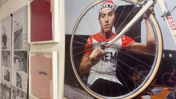 Merckx