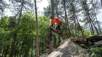 Parco Busatte