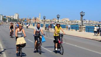 Bari