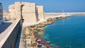 Monopoli