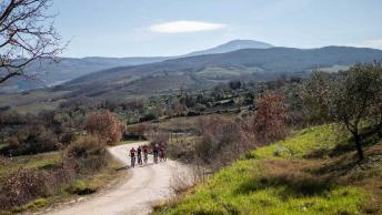 Monte Amiata