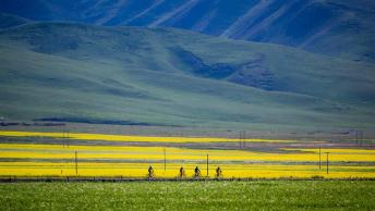 Qinghai