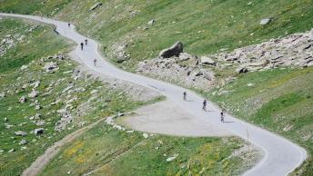Agnello