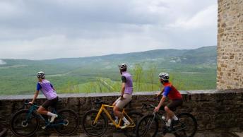 Istria