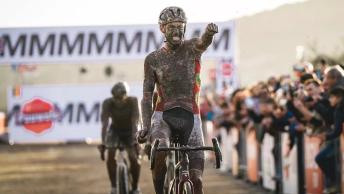 Vanthourenhout Terralba