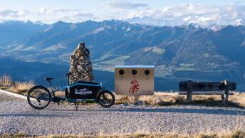 Cargo bike Cube Kronplatz