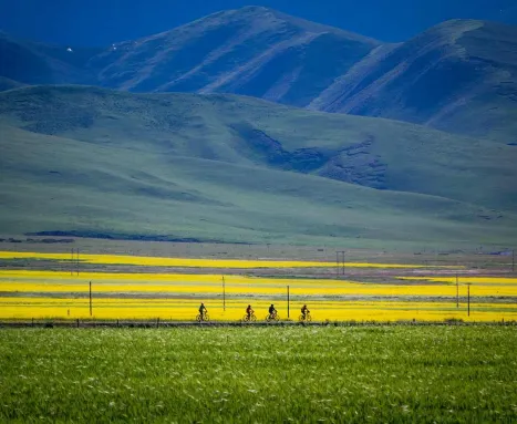 Qinghai