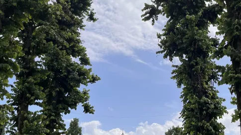 Il viale di ingresso al monastero