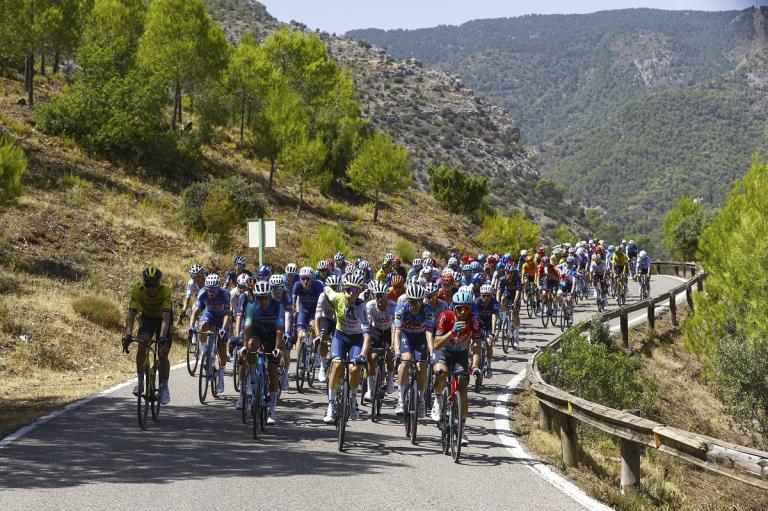 Vuelta gruppo