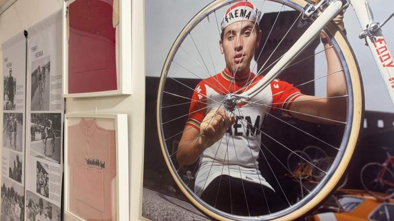 Merckx