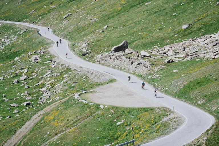 Agnello
