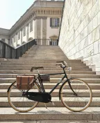Bicicletta Sport Baco