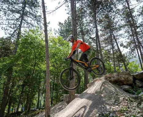 Parco Busatte